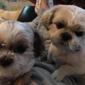 Meet your Posher, Cheryl